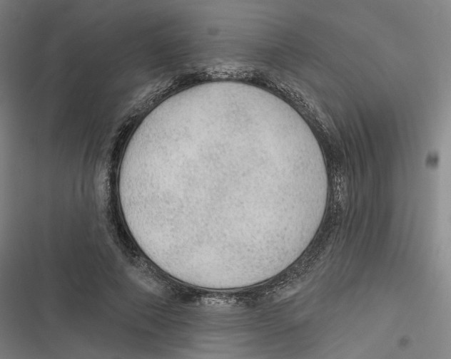 X0000116610690201001081211