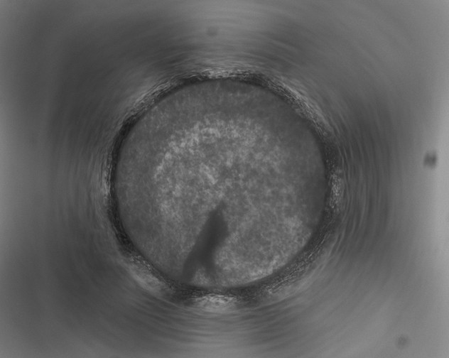 X0000116610691201001081211