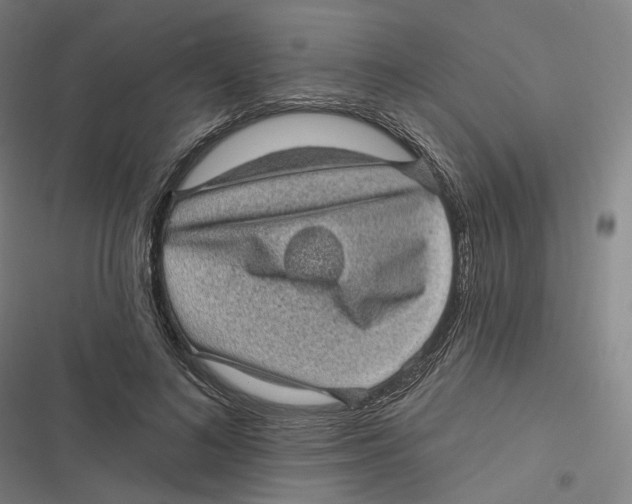 X0000116610692201001081211