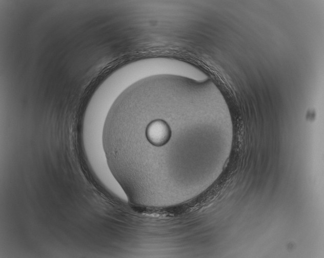 X0000116610693201001081211