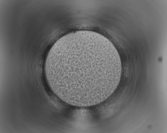 X0000116610695201001081211