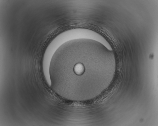 X0000116610697201001081211