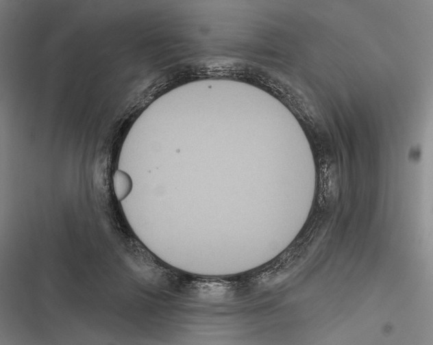 X0000116610698201001081211