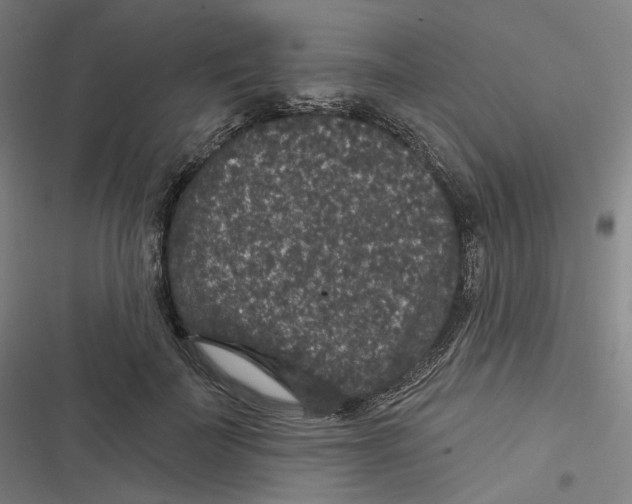 X0000116610699201001081211