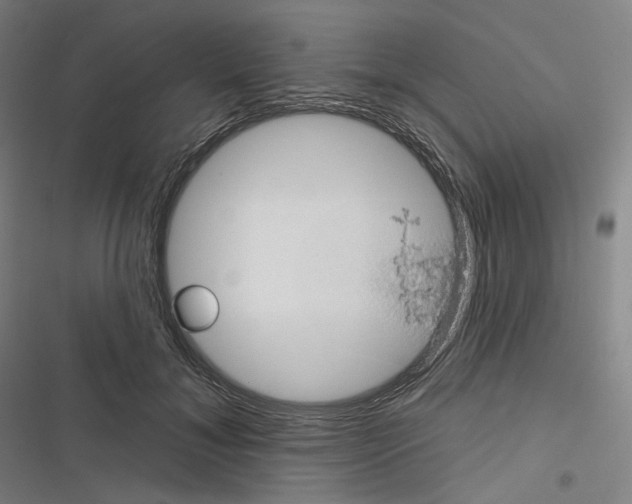 X0000116610700201001081211