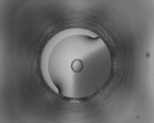 X0000116610701201001081211