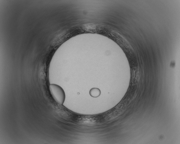 X0000116610702201001081211