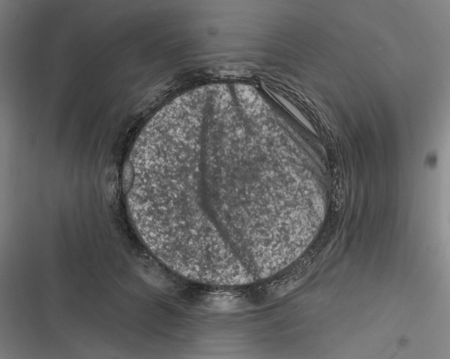 X0000116610704201001081211