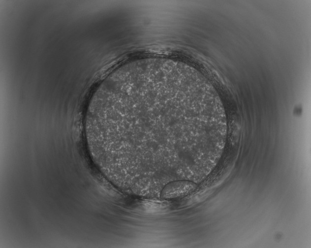 X0000116610707201001081211