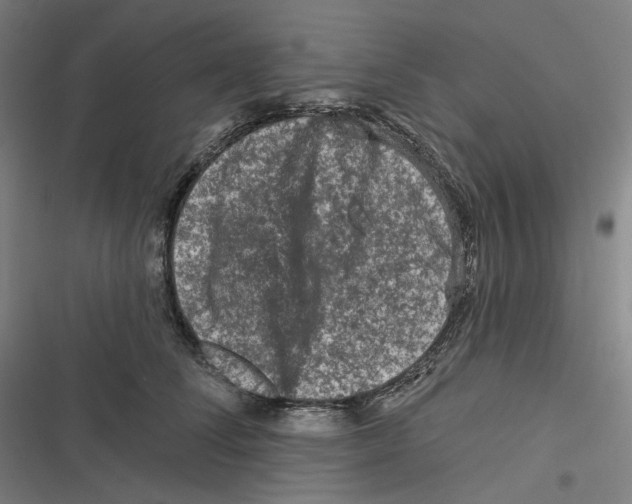 X0000116610708201001081211