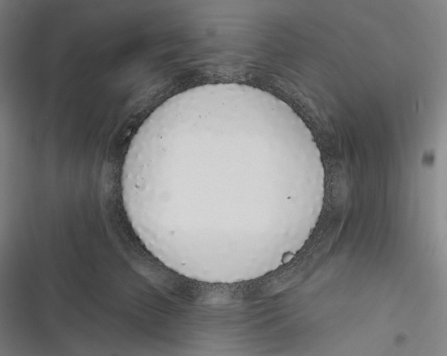 X0000116610709201001081211