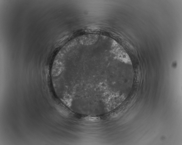 X0000116610711201001081211