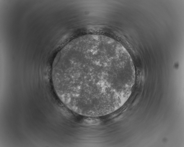 X0000116610712201001081211