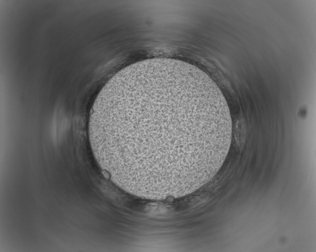 X0000116610714201001081211