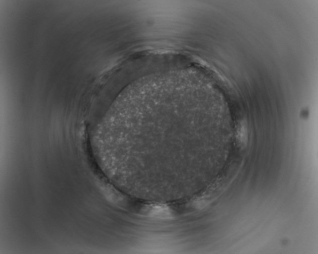 X0000116610715201001081211