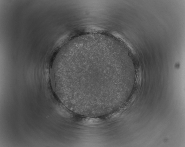 X0000116610716201001081211