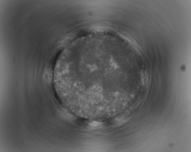 X0000116610718201001081211