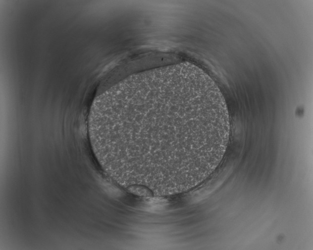 X0000116610719201001081211