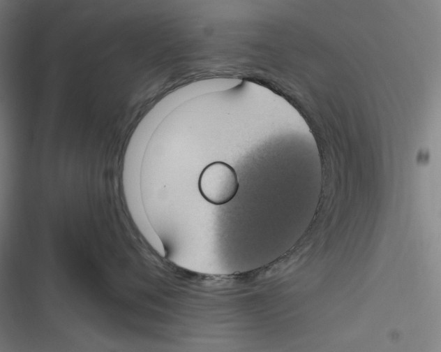 X0000116610720201001081211