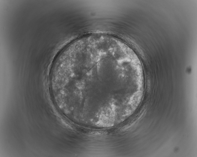 X0000116610721201001081210