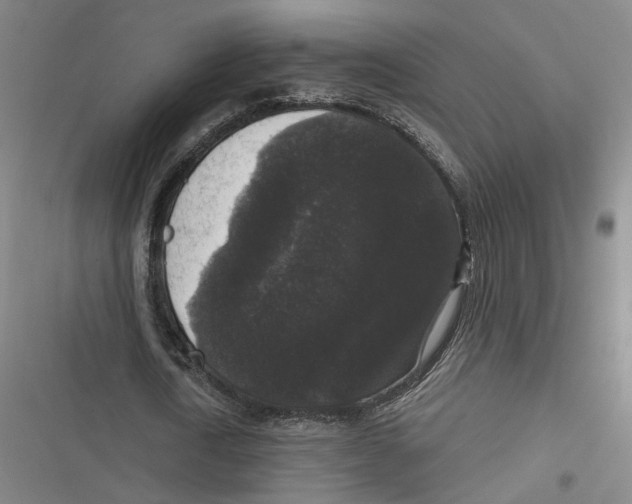 X0000116610722201001081210