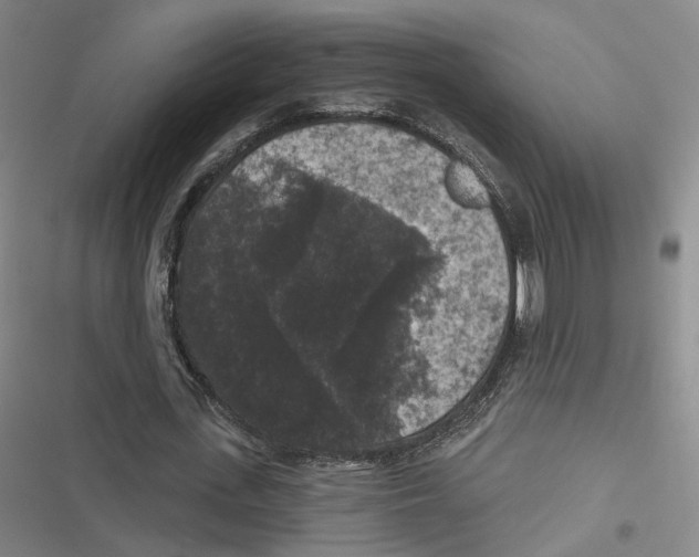 X0000116610723201001081210