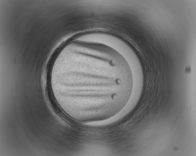 X0000116610726201001081210