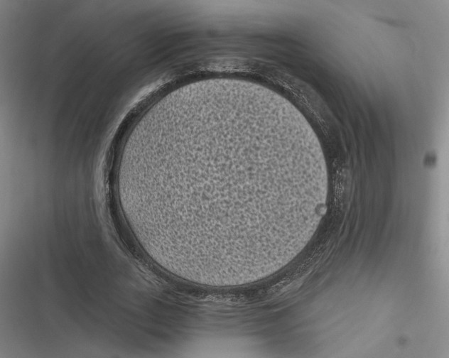 X0000116610727201001081210