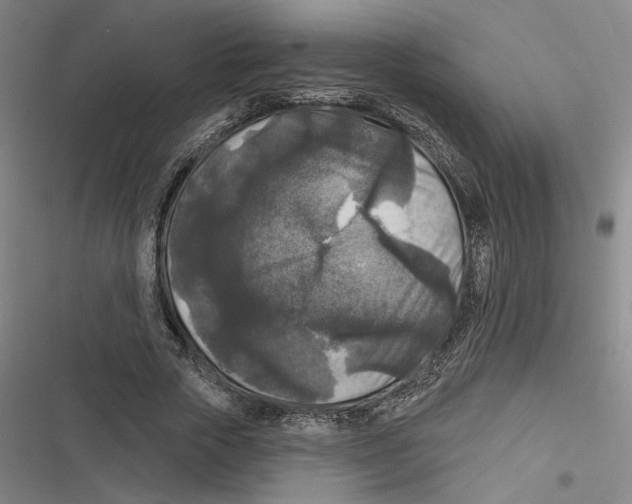 X0000116610729201001081210