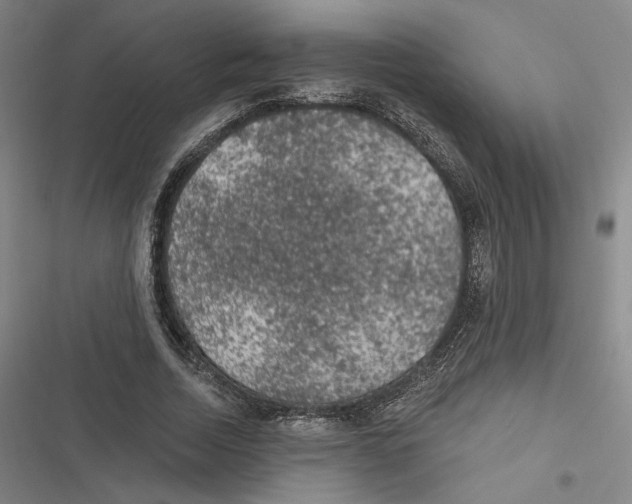 X0000116610730201001081210