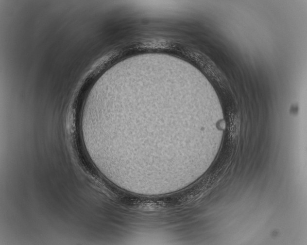 X0000116610731201001081210