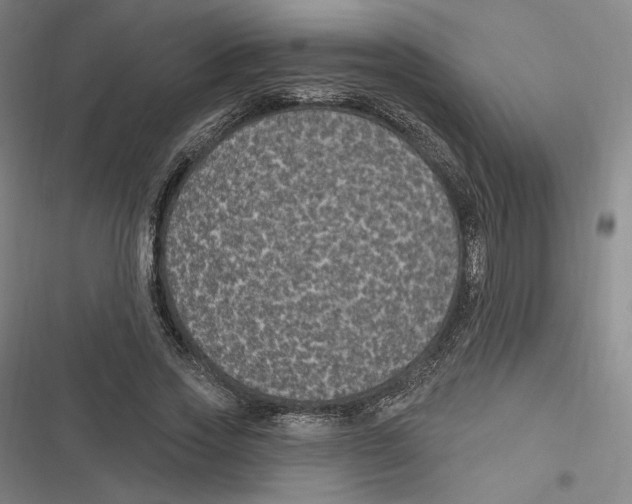 X0000116610733201001081210