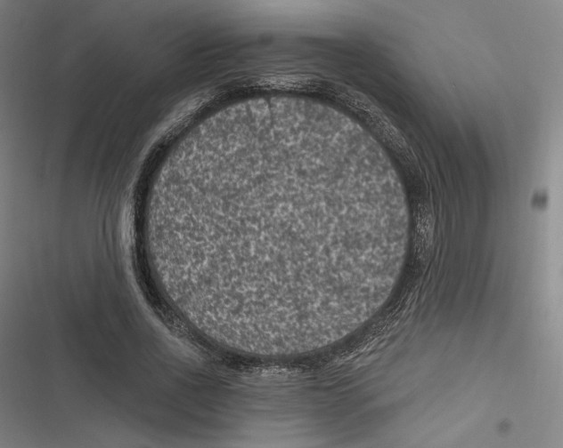 X0000116610734201001081210