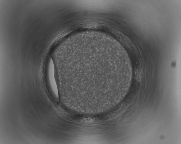 X0000116610735201001081210