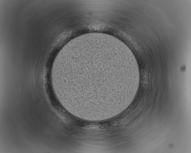 X0000116610738201001081210