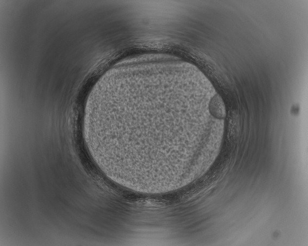 X0000116610739201001081210