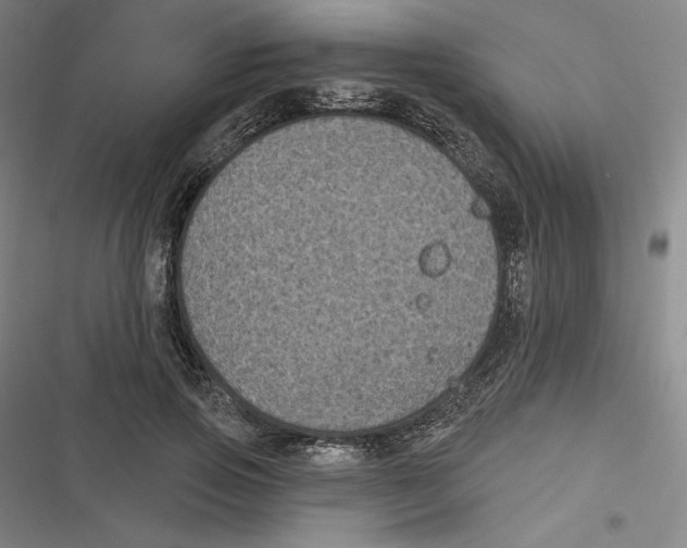 X0000116610741201001081210