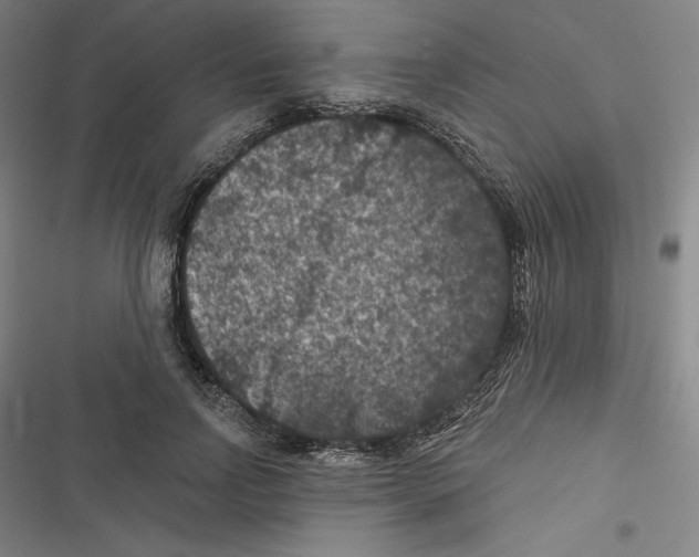 X0000116610742201001081210