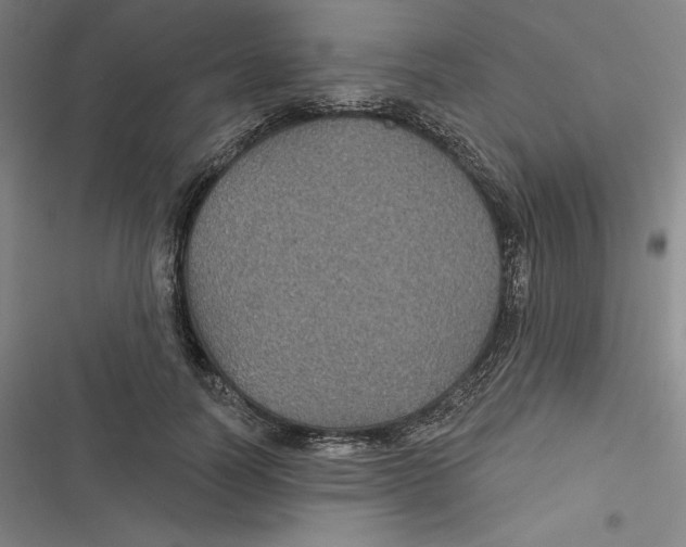 X0000116610746201001081210