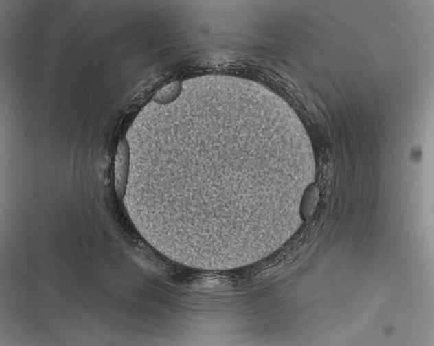 X0000116610750201001081210