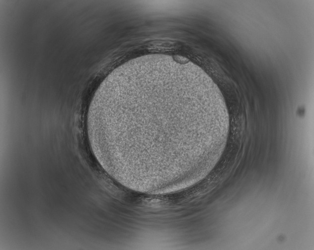 X0000116610755201001081210