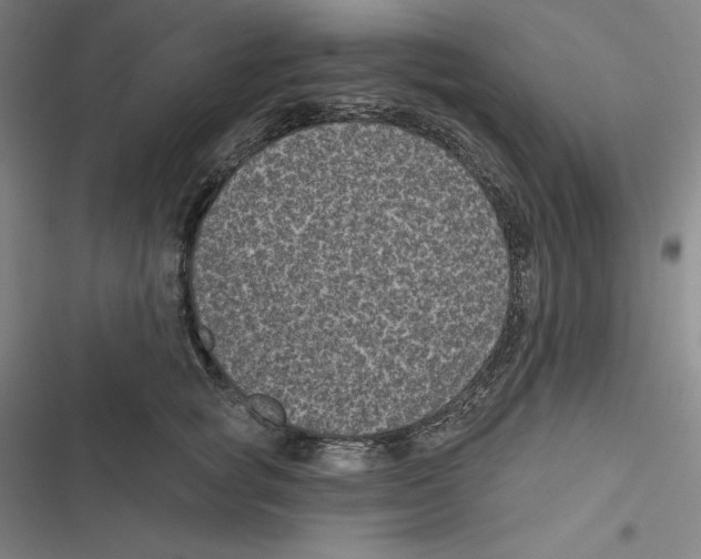 X0000116610757201001081210