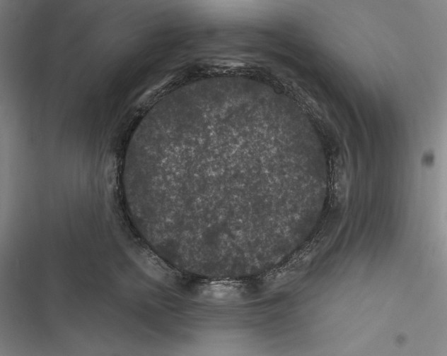 X0000116610758201001081210