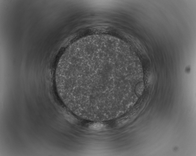 X0000116610759201001081210