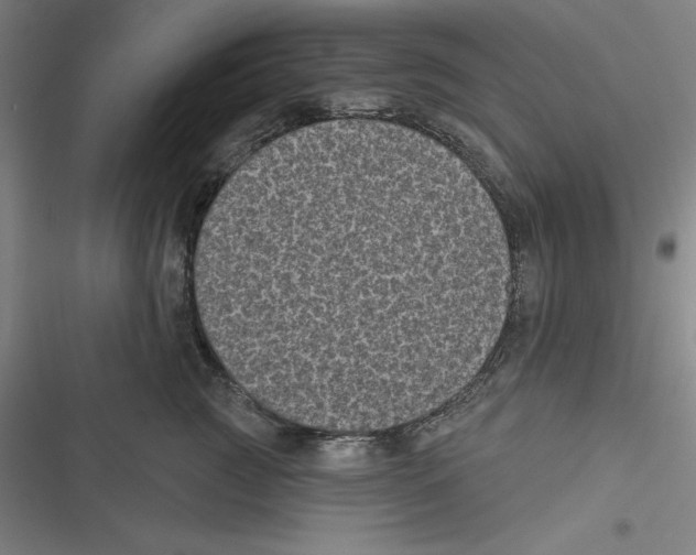 X0000116610761201001081210