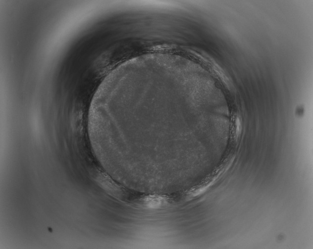 X0000116610762201001081210