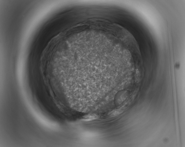 X0000116610765201001081210