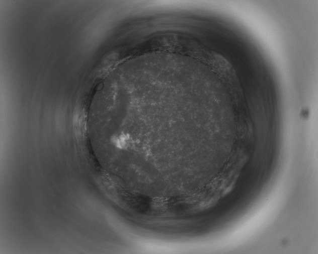 X0000116610766201001081211