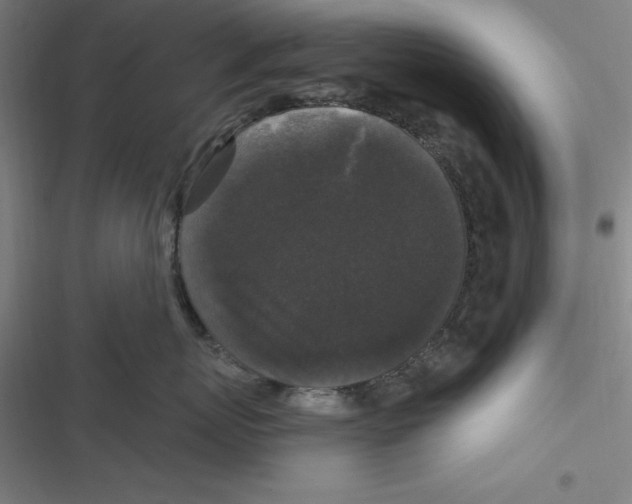 X0000116610767201001081211