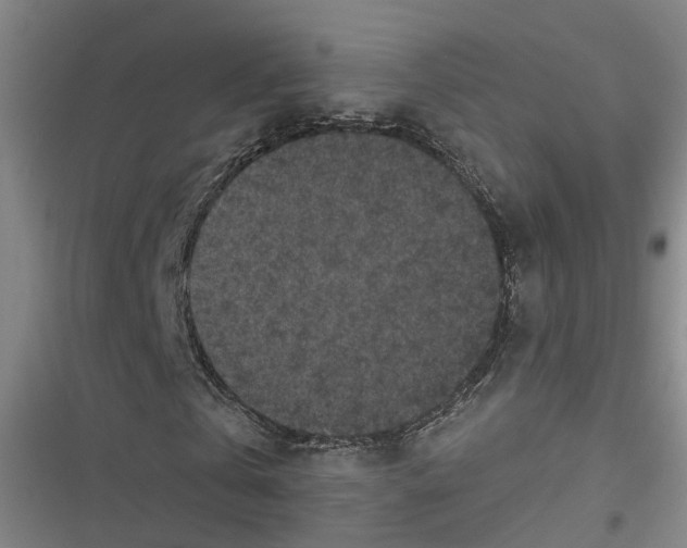 X0000116610769201001081210